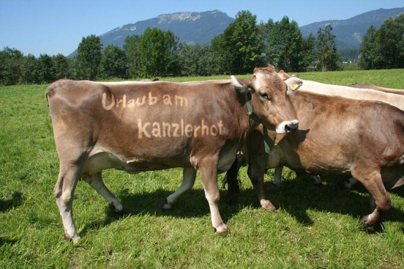 Kanzlerhof บัดมิทแทร์นดอร์ฟ ภายนอก รูปภาพ